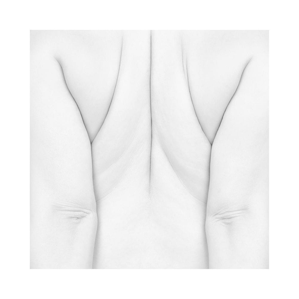 Artwork Title: undefined