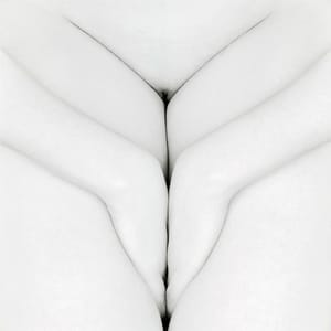 Artwork Title: Untitled