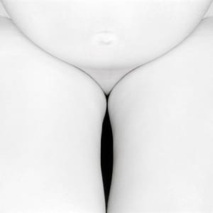 Artwork Title: Untitled