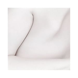 Artwork Title: Untitled