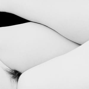 Artwork Title: Untitled