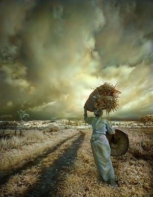 Artwork Title: Girl walking in the field