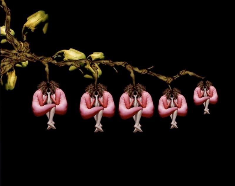 Artwork Title: Bleeding Heart