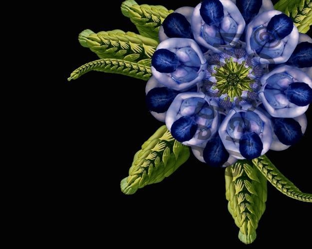 Artwork Title: Bluebell