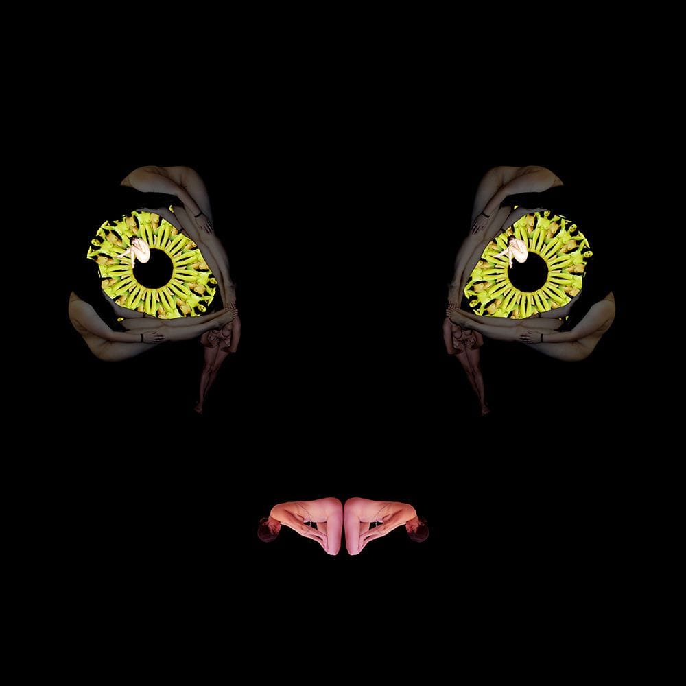 Artwork Title: Cat Eyes