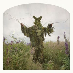 Artwork Title: King of Weeds