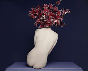 Artwork Title: Untitled
