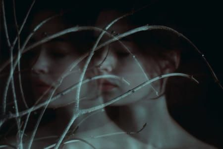 Artwork Title: Untitled