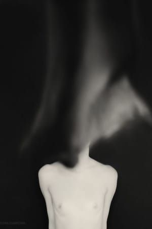 Artwork Title: Untitled