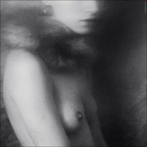 Artwork Title: Untitled