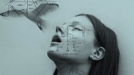 Artwork Title: undefined