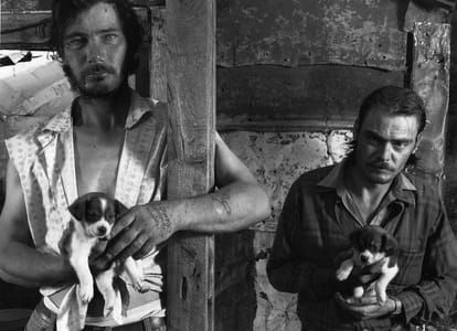 Artwork Title: Napier Brother's with puppies