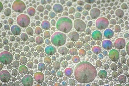 Artwork Title: Sae foam through the macro