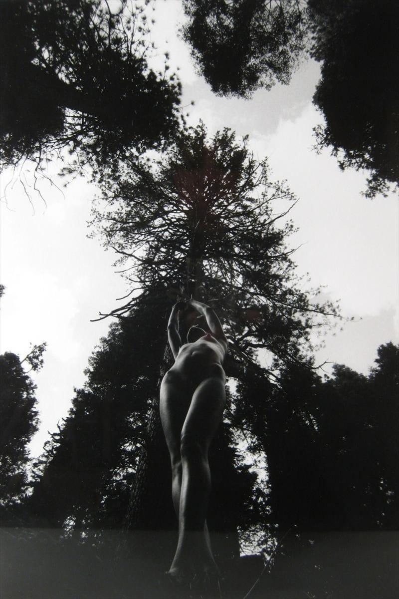 Artwork Title: Nude in Yosemite