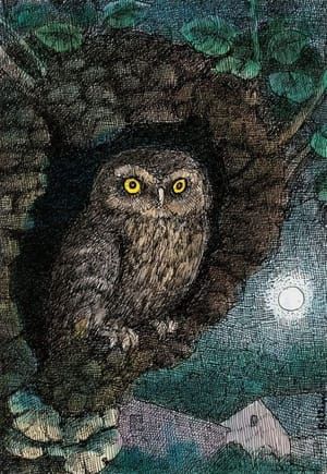 Artwork Title: Owl Nesting