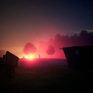 Artwork Title: Untitled