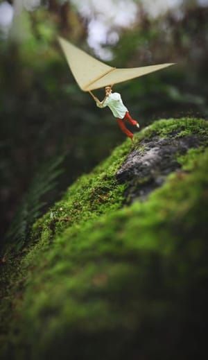 Artwork Title: Untitled