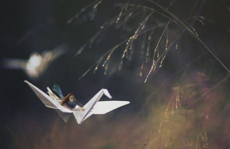 Artwork Title: Untitled