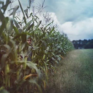 Artwork Title: Untitled