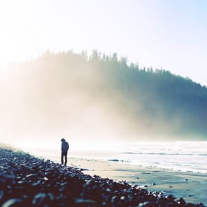 Artwork Title: Untitled