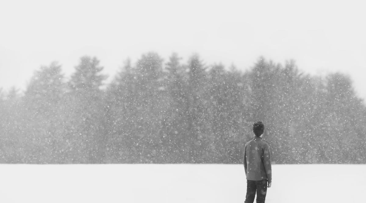 Artwork Title: undefined