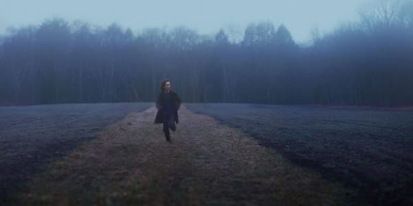 Artwork Title: Untitled