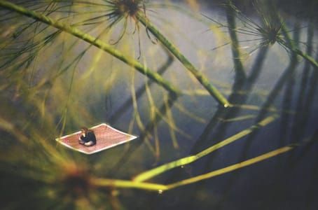 Artwork Title: Untitled