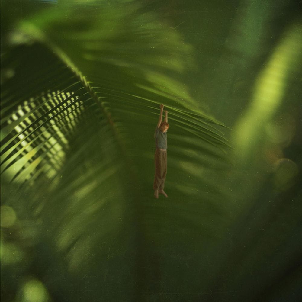 Artwork Title: undefined