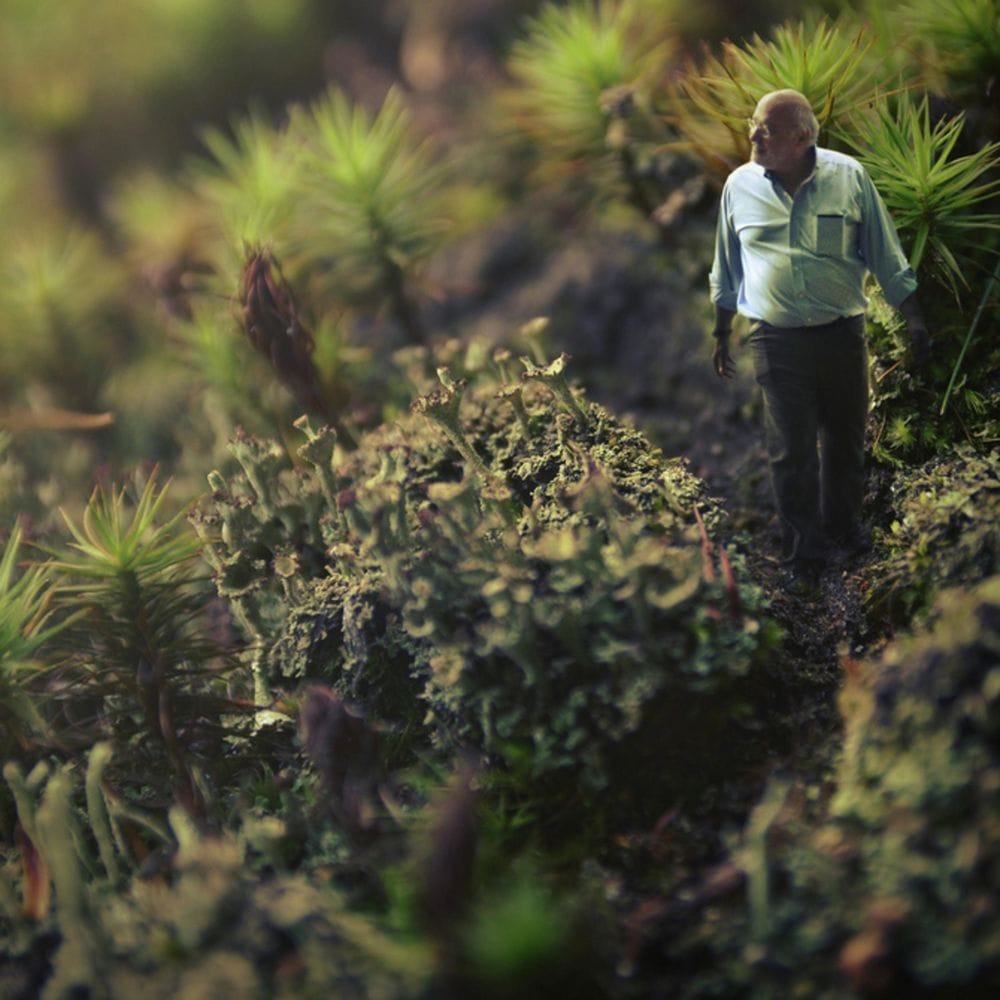 Artwork Title: undefined