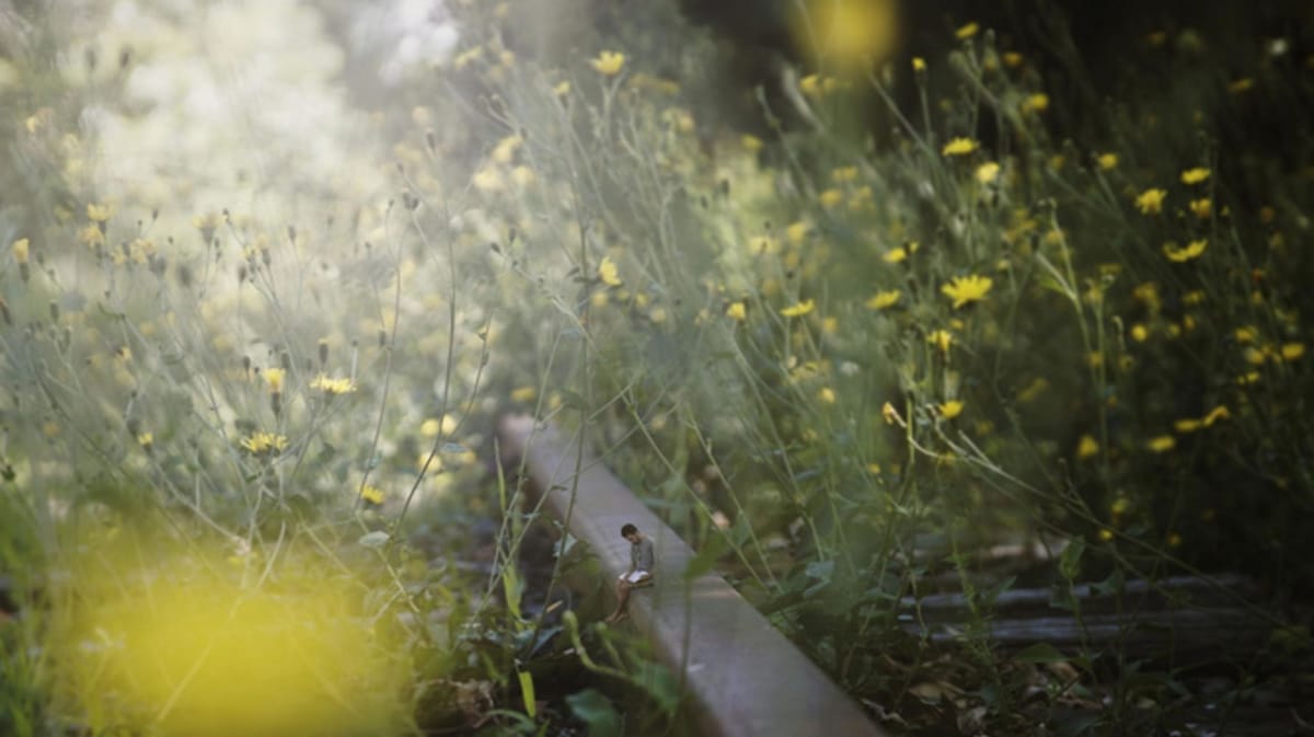 Artwork Title: undefined