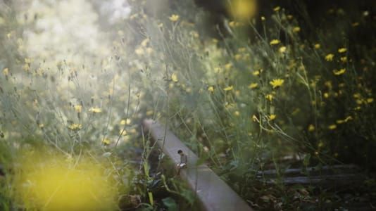 Artwork Title: Untitled