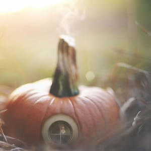 Artwork Title: Untitled