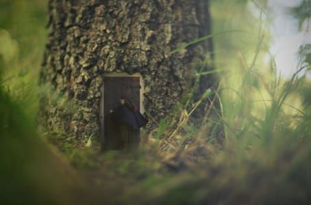 Artwork Title: Untitled