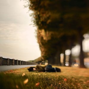 Artwork Title: Autumn Has Come