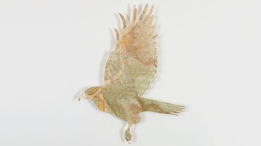 Artwork Title: Illustrated Aviary: Red-tailed hawk