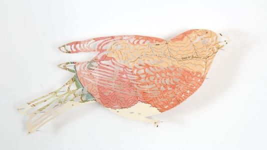 Artwork Title: Illustrated Aviary: Pine Grosbeak