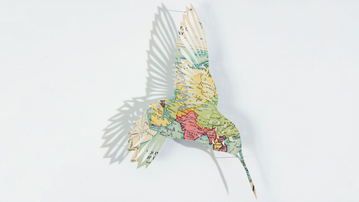 Artwork Title: Illustrated Aviary: Bee Hummingbird