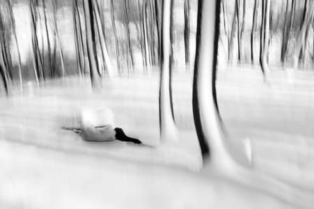 Artwork Title: Untitled