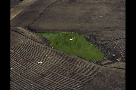 Artwork Title: Untitled