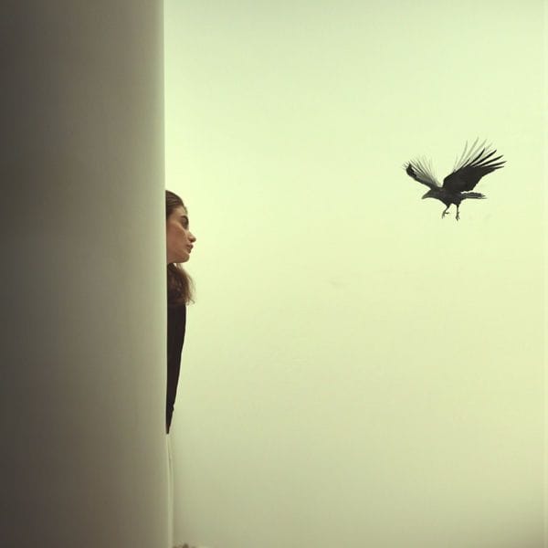 Artwork Title: undefined