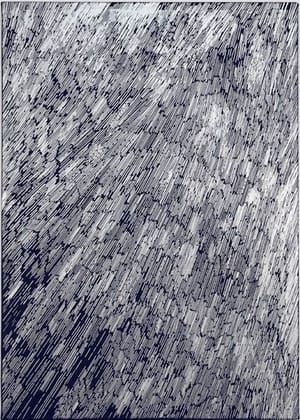 Artwork Title: After the rain