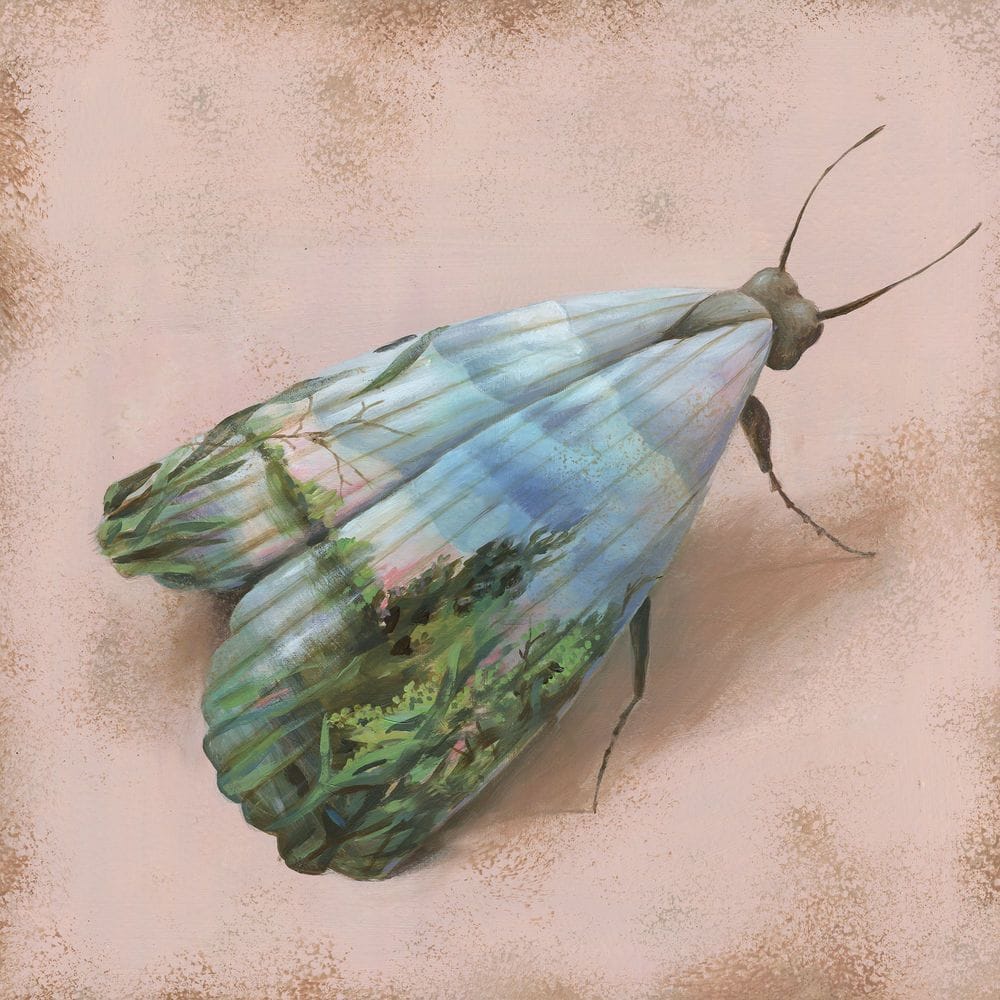 Artwork Title: Daydream Of A Moth