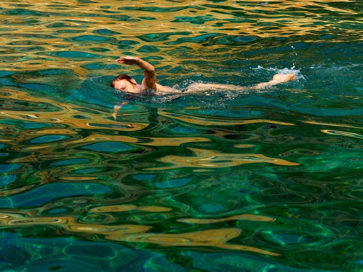 Artwork Title: Swimming the colours 1