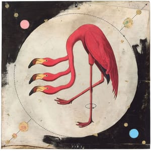 Artwork Title: Illustrated Aviary: American Flamingo