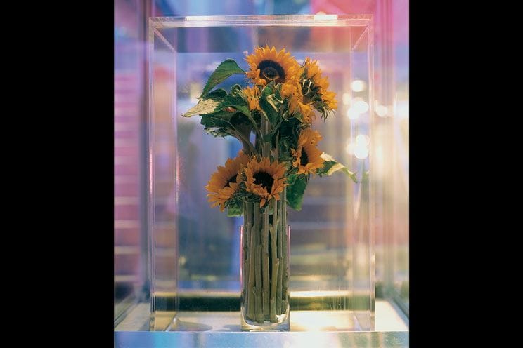 Artwork Title: Marc Quinn - Eternal Spring II (Sunflowers)