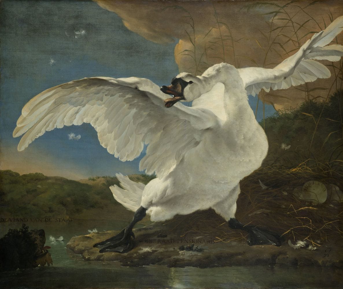 Artwork Title: The Threatened Swan