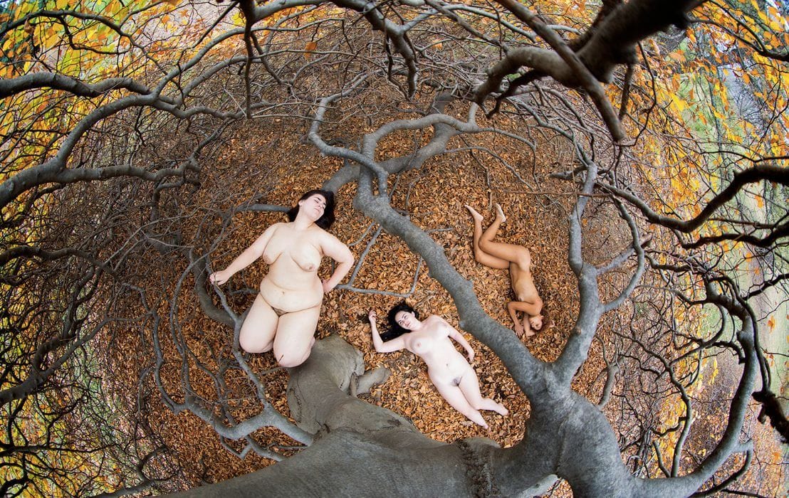 Artwork Title: undefined