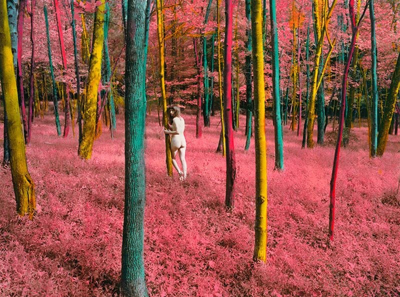 Artwork Title: undefined