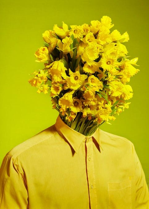 Artwork Title: Spring Man