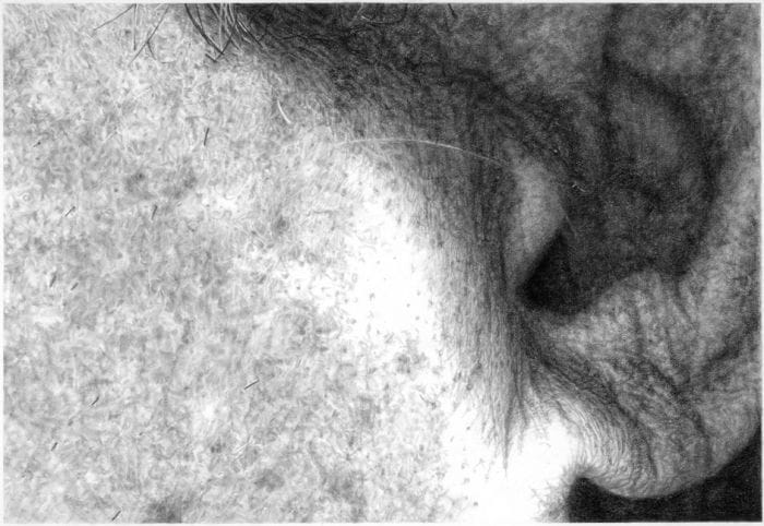 Artwork Title: crop5YCSideFace